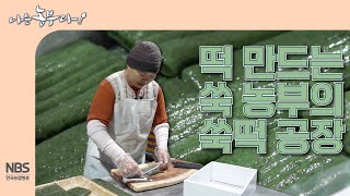 나는농부다 298회 떡 만드는 쑥 농부의 쑥떡 공장 [upl. by Fillian]