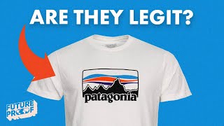 Is Patagonia REALLY Sustainable [upl. by Nitsruk]