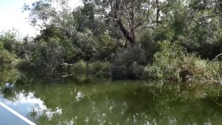 Upstream from Pritchards on the Glenelg [upl. by Reeba320]