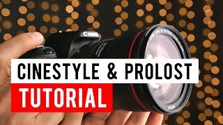 Installing Cinestyle or Prolost Flat Color Profiles on a Canon SL2 [upl. by Aggappora913]