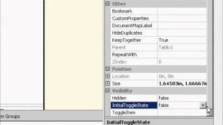 SSRS Tutorial 02 Part 44  Toggling Visibility [upl. by Balthazar]