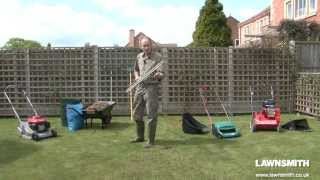 How to Rake and Scarify a Lawn for Moss and Thatch [upl. by Lienet]