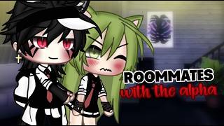 ☆Roommates with the alpha☆  Gacha Life Mini Movie GLMM PART 1 [upl. by Panter652]