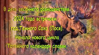 Тотемный календарь славян — год Лося 2024 и праздник весеннего равноденствия [upl. by Gilemette171]