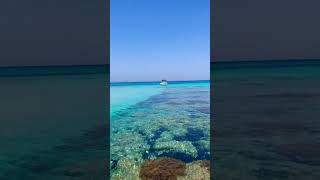 Bro taking a dip in Blue water Paphos 30 March 2022 [upl. by Annaek]