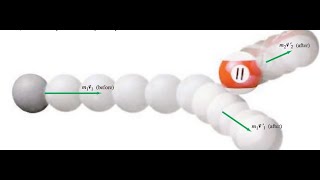 951 A bullet of mass m  00010 kg embeds itself in a wooden block with mass M  0999 kg which [upl. by Ynatterb941]