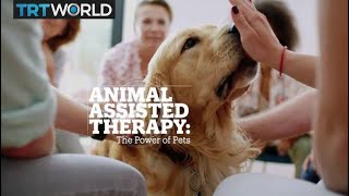 Animal Assisted Therapy The power of pets [upl. by Sulakcin]