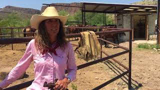 Horseback riding at Lajitas Stables in Big Bend [upl. by Bala]