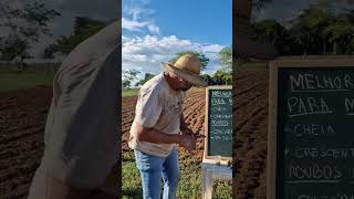 Em qual lua você planta mandioca agro campo roça solo agricultura [upl. by Kind]