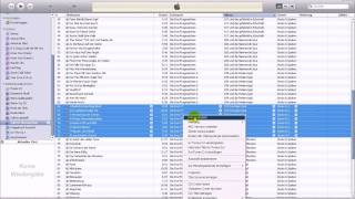 Hörbücher in iTunes kennzeichnen Tutorial [upl. by Terence395]