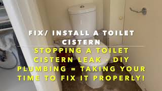 Toilet Cistern  Fixing a Leak and Installing so it Doesnt Leak [upl. by Anividul]