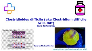 Clostridium difficile C diff Lecture [upl. by Anavrin]