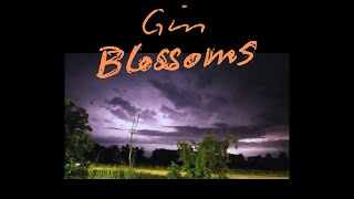 Gin Blossoms amp Minnesota Lightning Storm [upl. by Atinomar922]