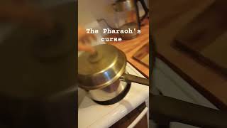 the Pharaohs curse memes funny comedy popcorn [upl. by Notneiuq610]