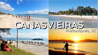 Tudo sobre CANASVIEIRAS O GUIA MAIS COMPLETO Assista esse vídeo antes de vir pra cá  Floripa SC [upl. by Brooke]