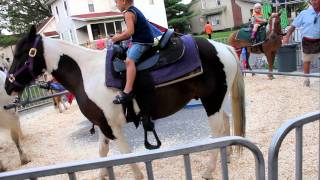 Pony ride at fair Bucks Kid [upl. by Haimarej]