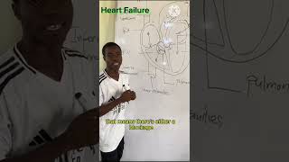 Explain Heart Failure and its clinical signs jahworks2495 nursingstudent education nursing [upl. by Olifoet]