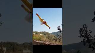 Lleno de espuma canadair pilot aviation wildfire bomberos incendio helicopter [upl. by Enom]