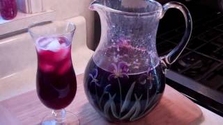 How To Make A Spiced Sorrel Drink From The Caribbean [upl. by Trillby243]