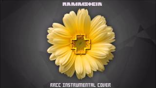 Rammstein  Heirate Mich instrumental cover [upl. by Agnot]