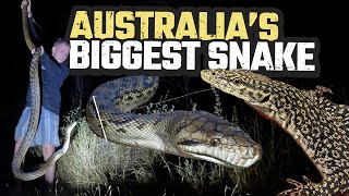 FINDING AUSTRALIAS BIGGEST SNAKE amp RARE LIZARDS  SCRUB PYTHON  HERPING CAIRNS EP 4 [upl. by Tahmosh]