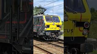 Certus Hle 2731 passeerd als Lose Loc langs Antwerpen Noorderdokken op 17092024 [upl. by Rothmuller]