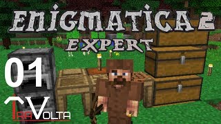 Enigmatica2 E01  Дорогу осилит идущий [upl. by Banky684]