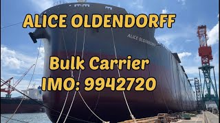 ALICE OLDENDORFF Bulk Carrier IMO 9942720 [upl. by Ambrose]