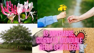 13 Novembre giornata mondiale della gentilezza [upl. by Eltsryk]