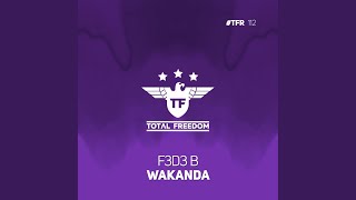 Wakanda Radio Edit [upl. by Ilil331]