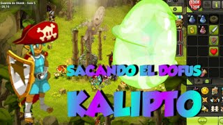 Dofus kalipto  Mazmorra Skonk Gremio shinobi [upl. by Enrichetta655]