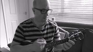 The Cascades Rhythm of the Rain  Ukulele Cover  Jez Quayle [upl. by Alvy]