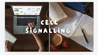 Cell Signalling Key Pathways Mechanisms and function study notes [upl. by Eniledgam]