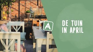 Veel nieuwigheden in de tuin een rondleiding I Angelo Dorny [upl. by Seltzer]