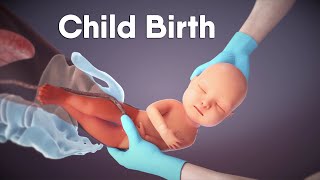 Labor And Delivery  Childbirth  Dandelion Medical Animation labor [upl. by Arivle752]