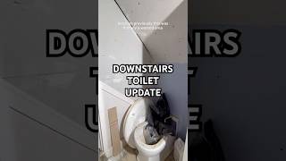 Downstairs Toilet update So exciting [upl. by Ayidan]