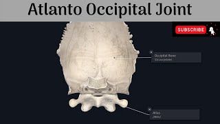 Atlanto Occipital Joint  Type  Articular Surfaces  Ligaments  Movements  Muscles [upl. by Guenzi]