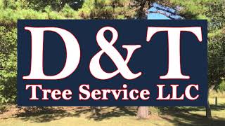 DampT Tree Service LLC [upl. by Noteek440]