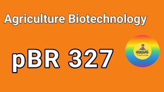 pBR 327  vector  rdnatechnology agrigpb genecloning [upl. by Nomelihp743]