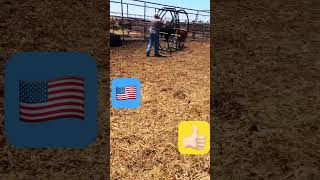 never underestimate a bull music ironman western unitedstates cowboy bulls likeandsubscribe [upl. by Pyotr]