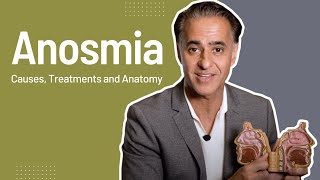 Anosmia and Loss of Smell Causes Treatments and Nose Anatomy [upl. by Adnohsed]