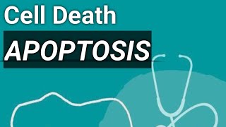 Apoptosis type of cell death robbins pathology [upl. by Ais79]