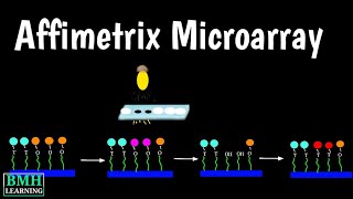 Affymetrix Microarray  Affymetrix Genechip  Affymetrix Genechip Oligonucleotide Microarray [upl. by Hendon]