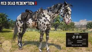 Dont Forget to get this Horse for free  Leopard Appaloosa  RDR2  PS4 Slim [upl. by Gavra]