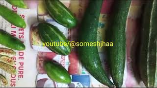 GOURDS गोर्ड Cucurbitaceae family कद्दू वर्गीय सब्जी गॉर्ड [upl. by Agbogla]