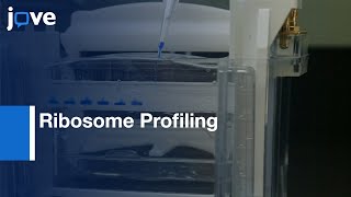 Ribosome Profiling for Genome Quantification during Budding  Protocol Preview [upl. by Kelcy]