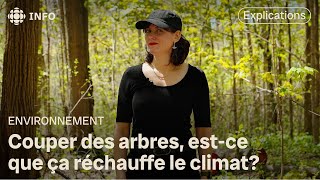 La foresterie  carboneutre ou pas [upl. by Avery]