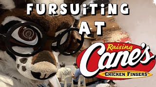 Public Fursuiting at Raising Canes during Megaplex 2024 PEAK HOURS LMAO [upl. by Acenes]