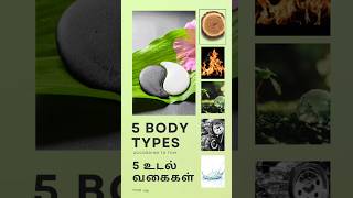 5 body types according to tcm acupuncturelife motivationalvideo druglesstherapy panchabhuta [upl. by Bobseine]