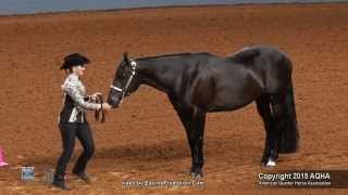 A Judges Perspective 2015 AQHYA Showmanship World Champion [upl. by Anehs]